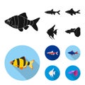 Angelfish, common, barbus, neon.Fish set collection icons in black, flat style vector symbol stock illustration web.