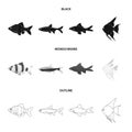 Angelfish, common, barbus, neon.Fish set collection icons in black,monochrome,outline style vector symbol stock