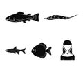 Angelfish, common, barbus, neon.Fish set collection icons in black style vector symbol stock illustration web.