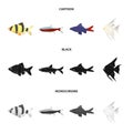 Angelfish, common, barbus, neon.Fish set collection icons in cartoon,black,monochrome style vector symbol stock