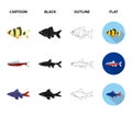 Angelfish, common, barbus, neon.Fish set collection icons in cartoon,black,outline,flat style vector symbol stock