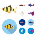 Angelfish, common, barbus, neon.Fish set collection icons in cartoon,flat style vector symbol stock illustration web.