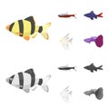 Angelfish, common, barbus, neon.Fish set collection icons in cartoon,monochrome style vector symbol stock illustration