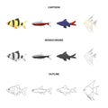 Angelfish, common, barbus, neon.Fish set collection icons in cartoon,outline,monochrome style vector symbol stock