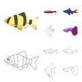 Angelfish, common, barbus, neon.Fish set collection icons in cartoon,outline style vector symbol stock illustration web.