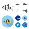 Angelfish, common, barbus, neon.Fish set collection icons in monochrome,flat style vector symbol stock illustration web.