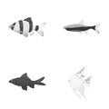 Angelfish, common, barbus, neon.Fish set collection icons in monochrome style vector symbol stock illustration web.