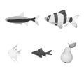 Angelfish, common, barbus, neon.Fish set collection icons in monochrome style vector symbol stock illustration web.