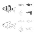 Angelfish, common, barbus, neon.Fish set collection icons in outline,monochrome style vector symbol stock illustration