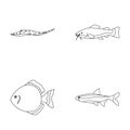 Angelfish, common, barbus, neon.Fish set collection icons in outline style vector symbol stock illustration web.