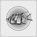 Angelfish emblem. Black and white realistic graphics.