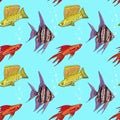 Angelfish, Fancy Hi-fin Swordtail and Yellow Sailfin Molly Royalty Free Stock Photo