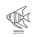 Angelfish line icon. Scalare vector sign. Aquarium fish symbol. Editable stroke