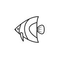 angelfish line icon. signs and symbols can be used for web, logo, mobile app, ui, ux