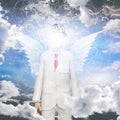 Angelic being obscured Royalty Free Stock Photo