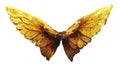 Angelic demonic glowing wings of an angel or demon. Isolated, transparent PNG background.