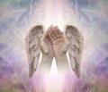 Angelic helping hands Royalty Free Stock Photo