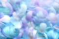 Angelic pastel tinted blue feather background - small fluffy blue feathers randomly scattered forming a background Royalty Free Stock Photo