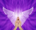 Angelic Therapist seeking Angel Guidance
