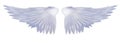 Angelic Wings Royalty Free Stock Photo