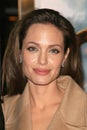Angelina Jolie Royalty Free Stock Photo
