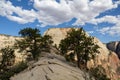 Angels Landing Trail, beautiful views over Virgin River canyon, Zion National Park, Utah, USA Royalty Free Stock Photo
