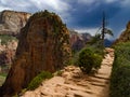 Angels Landing Trail Zion National Park Royalty Free Stock Photo