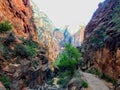 Angels Landing trail in Zion National Park Utah America