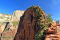 Angels Landing Trail in Zion National Park, Utah, USA Royalty Free Stock Photo