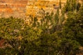 Angels Window on The Cape Final Trail Royalty Free Stock Photo