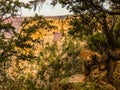 Angels Window on The Cape Final Trail Royalty Free Stock Photo