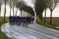 The Peloton - Paris-Nice 2017