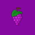 Design Grapes Fruit Simple Vector and Illustration Royalty Free Stock Photo