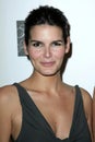 Angie Harmon