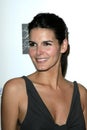 Angie Harmon