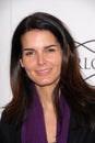 Angie Harmon Royalty Free Stock Photo