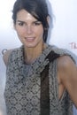 Angie Harmon on the red carpet Royalty Free Stock Photo