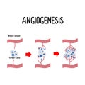 Angiogenesis: The formation of new blood vessels, often stimulated by cancer cells to ensure a sufficient supply of nutrients for Royalty Free Stock Photo