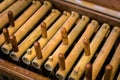 Angklung, traditional wood music instrument played in West Java, Indonesia