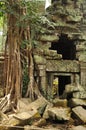 Angkor, Cambodia. Khmer Banteay Kdei temple ruins