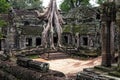 Angkor Prohm temple in Angkor, Cambodia