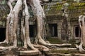 Angkor Ta Prohm temple Royalty Free Stock Photo