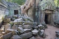 Angkor temple Ta Phrom