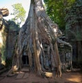 Angkor temple Ta Phrom