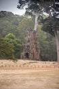 Angkor Thom, Cambodia Royalty Free Stock Photo