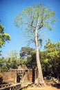 Angkor Thom Temple view, Siem reap, Cambodia Royalty Free Stock Photo