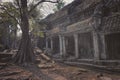 Angkor Thom  and tree Royalty Free Stock Photo
