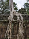 Angkor Wat Buddhist temple in Siem Reap Cambodia Royalty Free Stock Photo