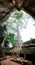 Angkor Wat, Cambodia - November 4, 2011: Interior of the ruins of Angkor Wat Royalty Free Stock Photo