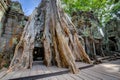 Angkor Wat Cambodia. Ta Prohm Khmer ancient Buddhist temple. Royalty Free Stock Photo